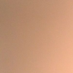 Meet your Posher, Vincent